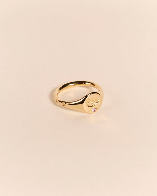 Lightweight Pigeon Signet with Pink Sapphire