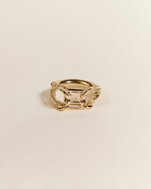 Claws of Engagement - Morganite