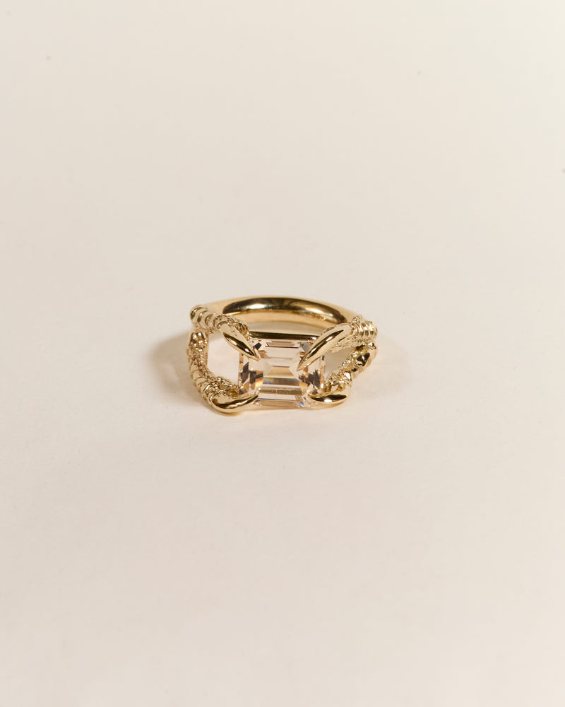 Claws of Engagement - Morganite
