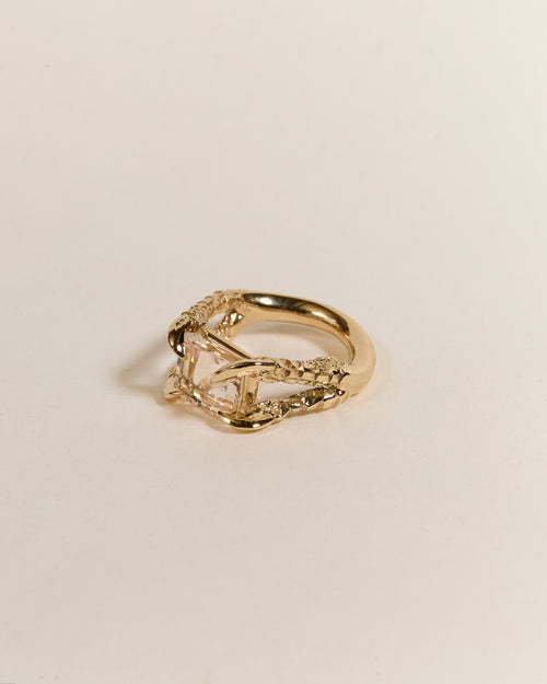 Claws of Engagement - Morganite