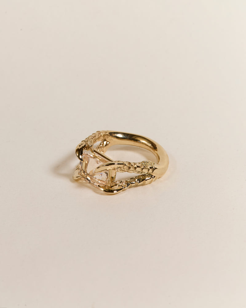 Claws of Engagement - Morganite