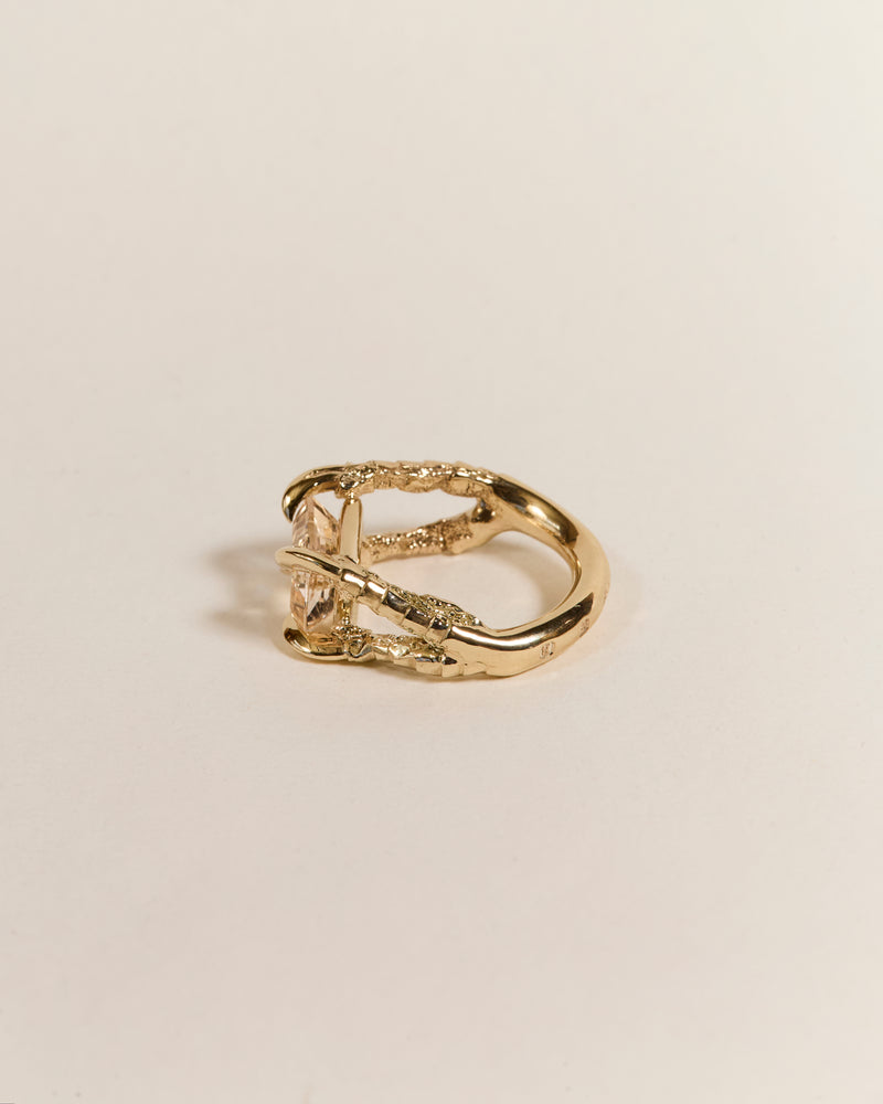 Claws of Engagement - Morganite