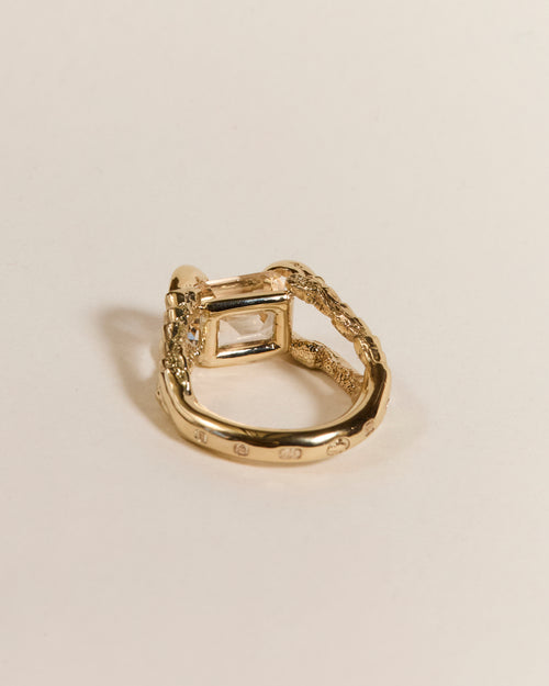 Claws of Engagement - Morganite