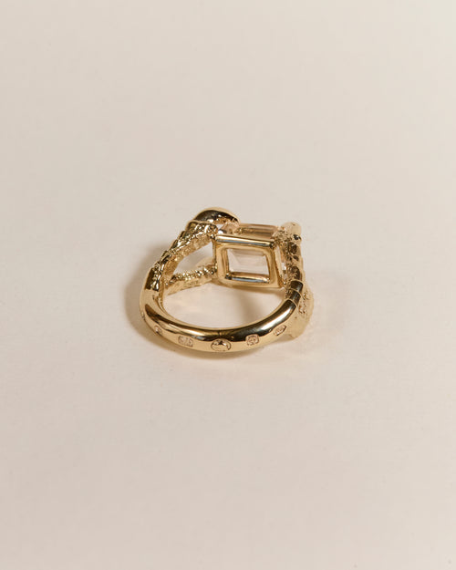 Claws of Engagement - Morganite