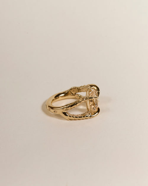 Claws of Engagement - Morganite