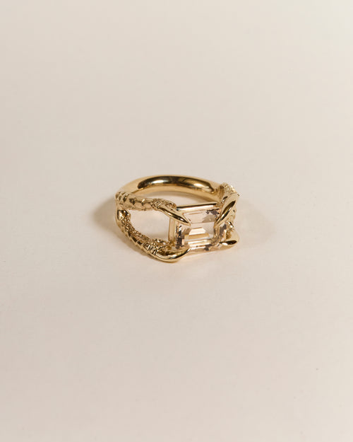 Claws of Engagement - Morganite