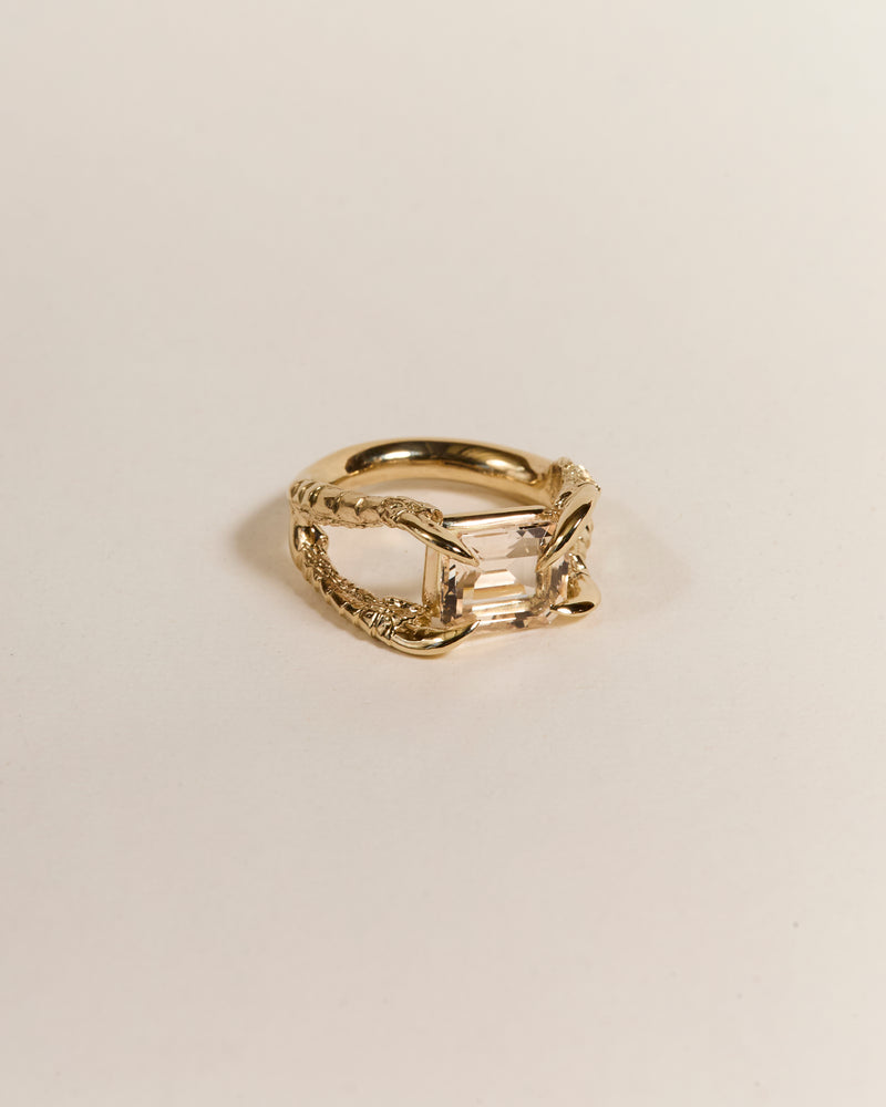 Claws of Engagement - Morganite