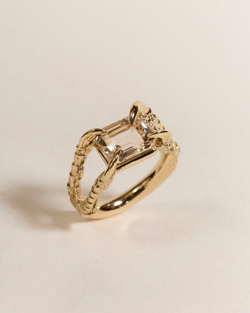Claws of Engagement - Morganite