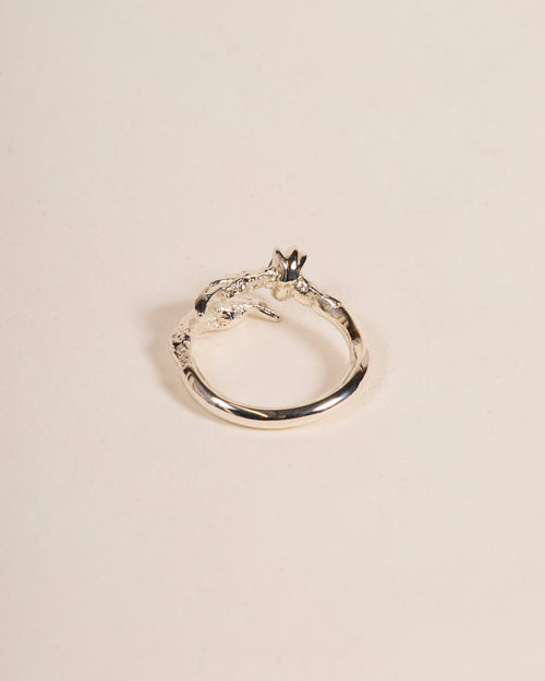 Contessa No.7 - Grey Spinel