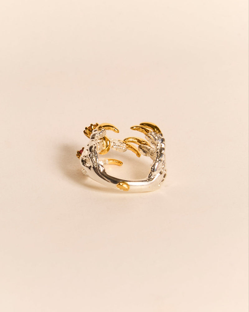 Pigeon Grasp with Mini Rings