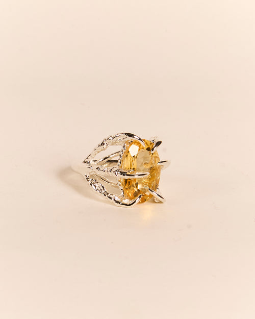Citrine Deborah