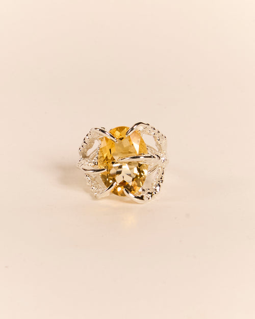 Citrine Deborah