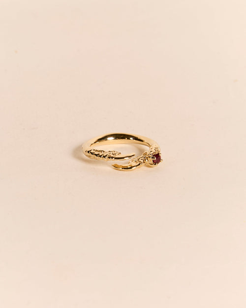 Single Claw with Ruby Ring