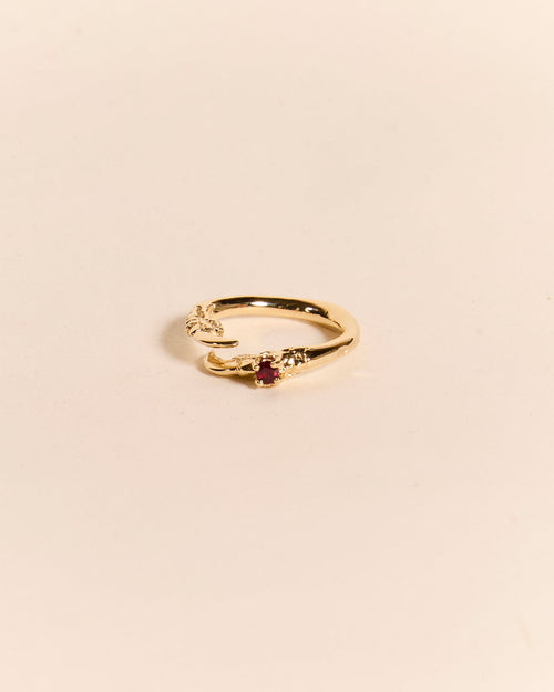 Single Claw with Ruby Ring