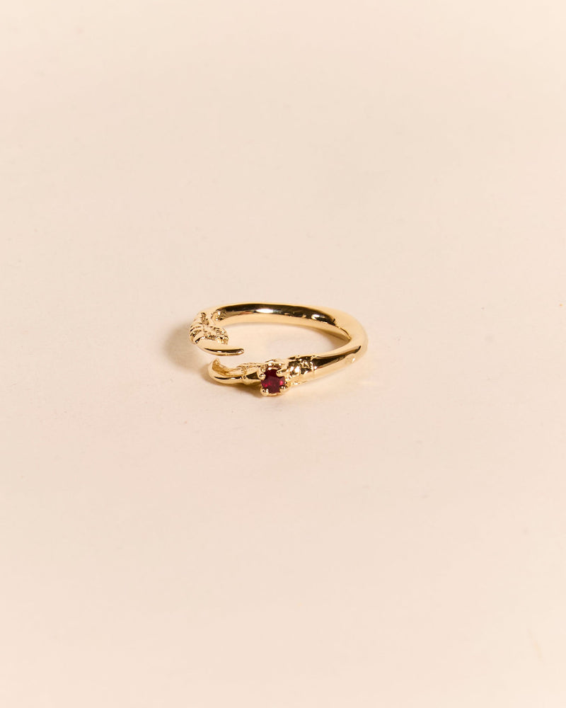 Single Claw with Ruby Ring