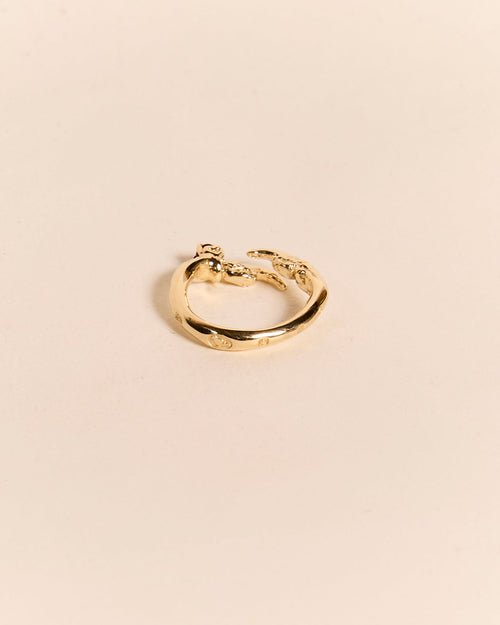 Single Claw with Ruby Ring