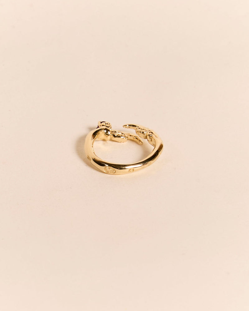 Single Claw with Ruby Ring