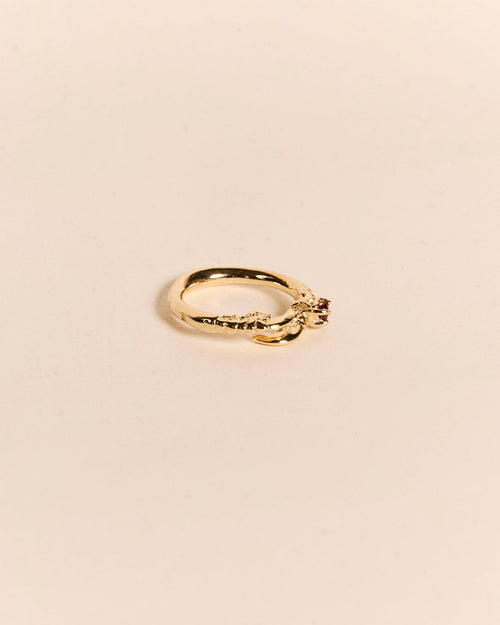 Single Claw with Ruby Ring