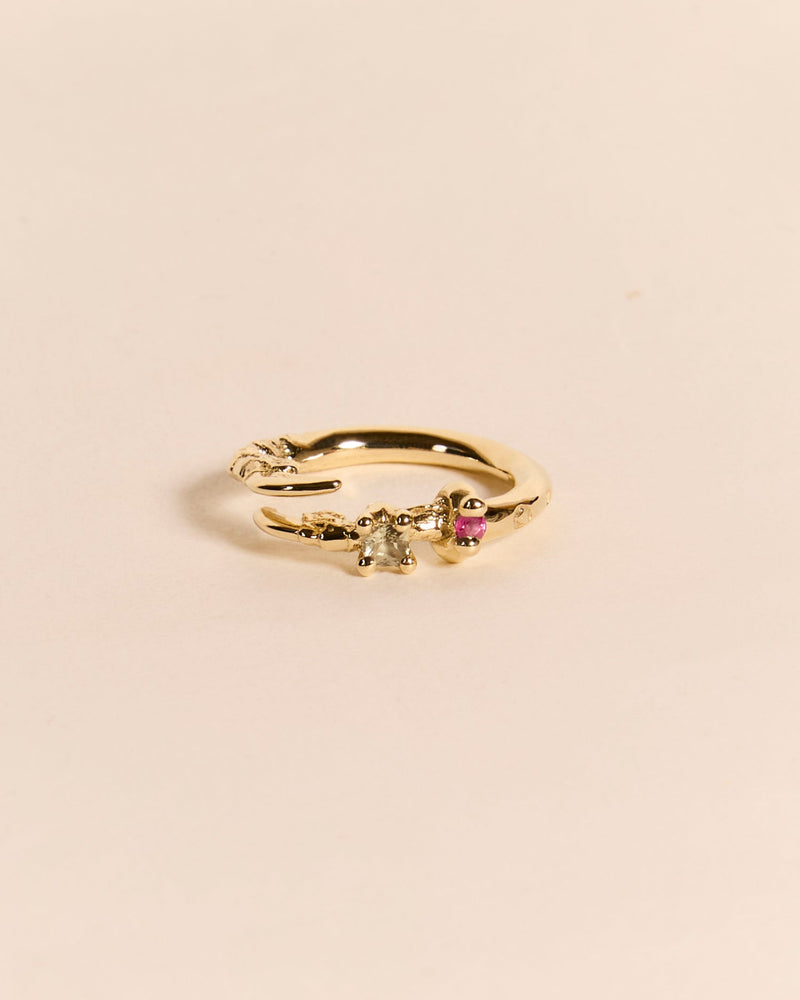 Single Claw Princess Ring