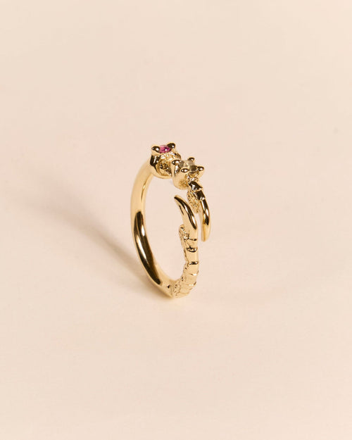 Single Claw Princess Ring