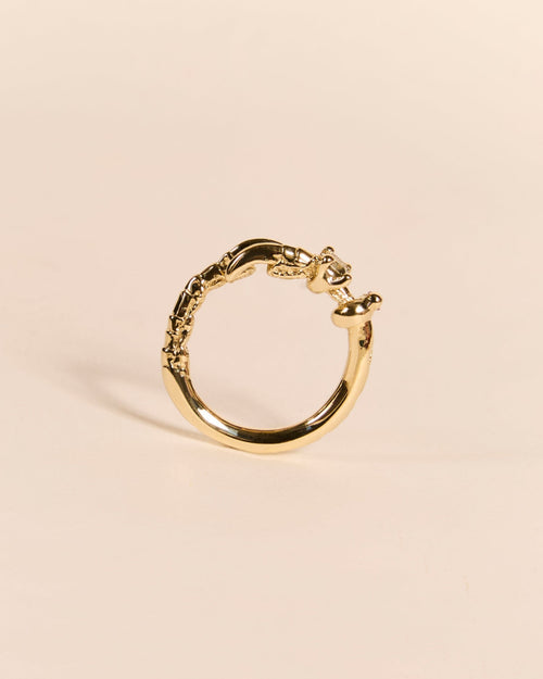 Single Claw Princess Ring