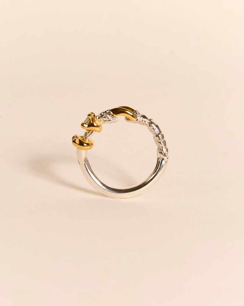 Single Claw Princess Ring
