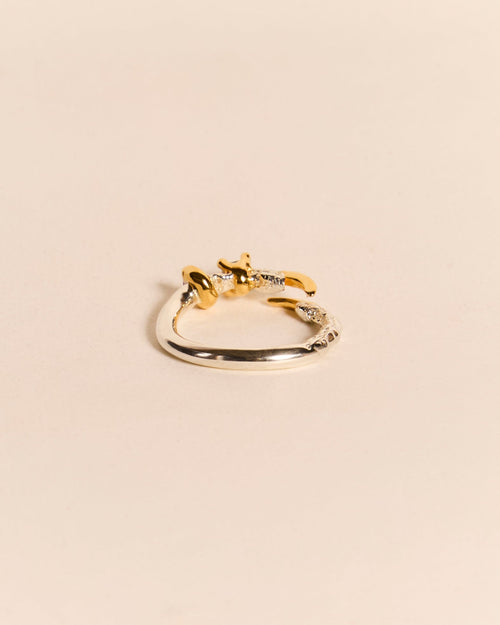 Single Claw Princess Ring