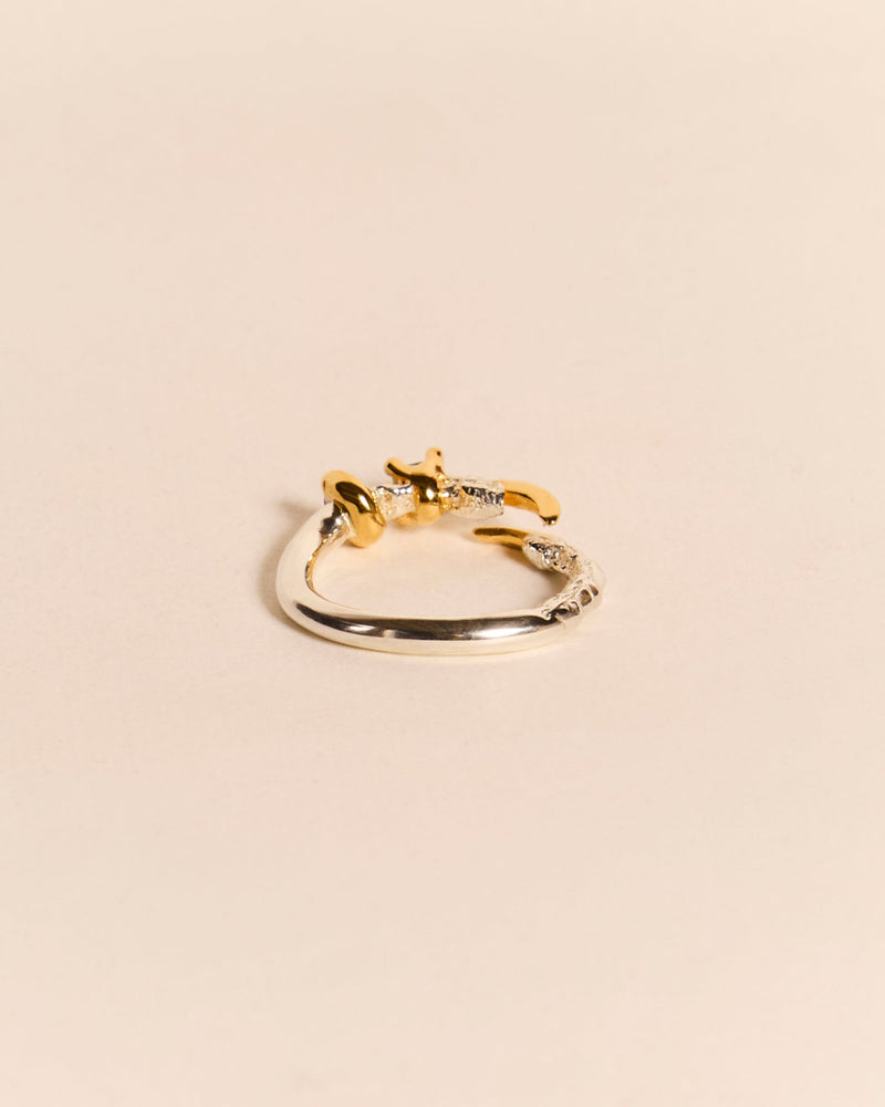 Single Claw Princess Ring