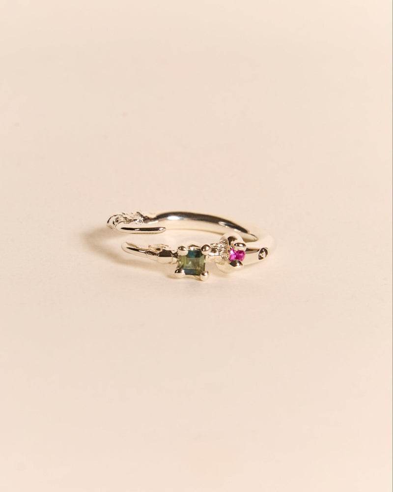 Single Claw Princess Ring