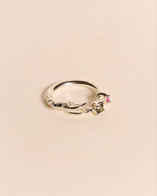 Single Claw Princess Ring