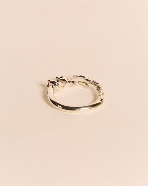 Single Claw Princess Ring