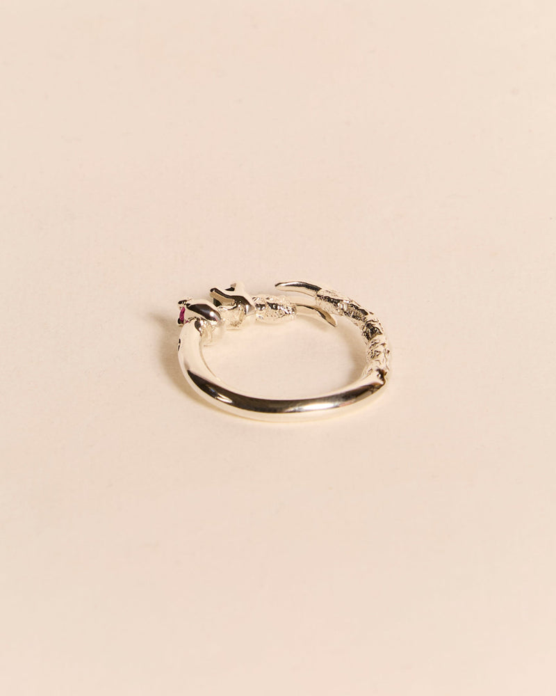 Single Claw Princess Ring