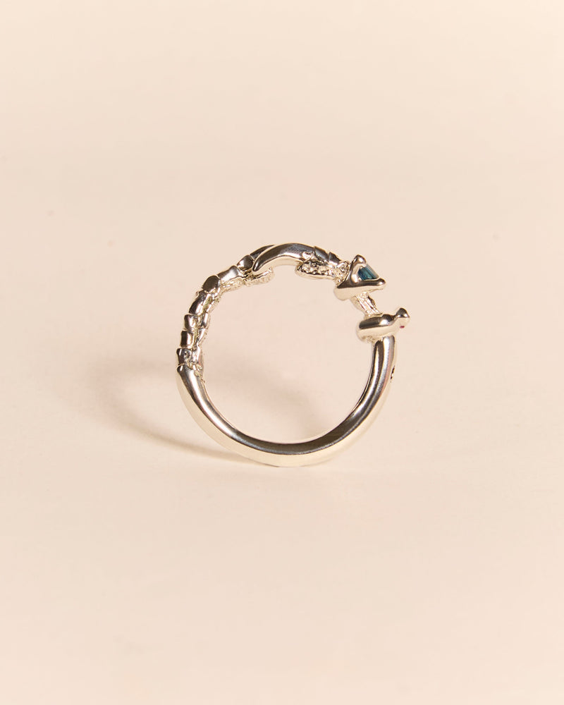 Single Claw Princess Ring