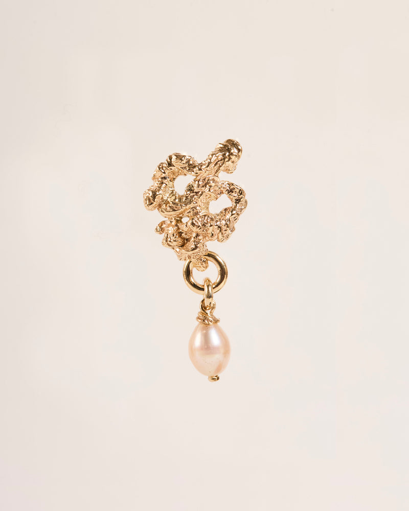 Squiggly Poo Earrings