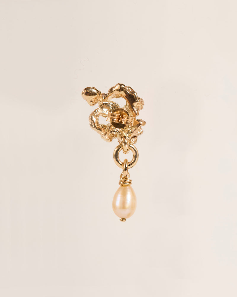 Squiggly Poo Earrings