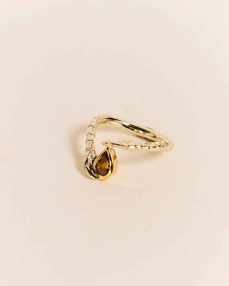 A Drop Of Honey 2024