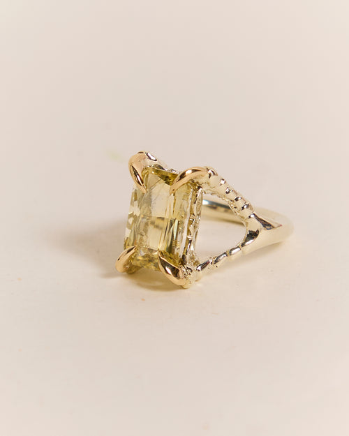 Yellow Sapphire Claws of Engagement 2024