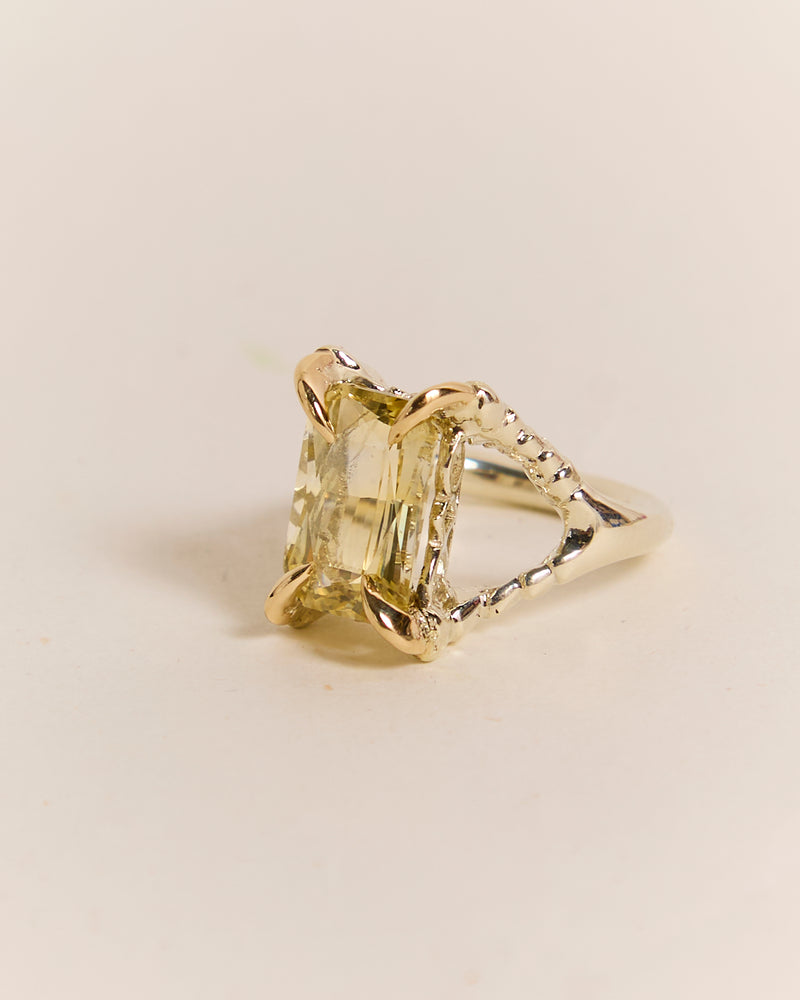 Yellow Sapphire Claws of Engagement 2024