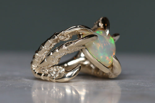 The Cunt Ring 2020