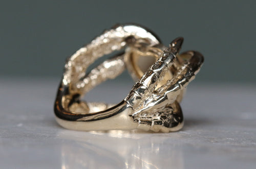 The Cunt Ring 2020